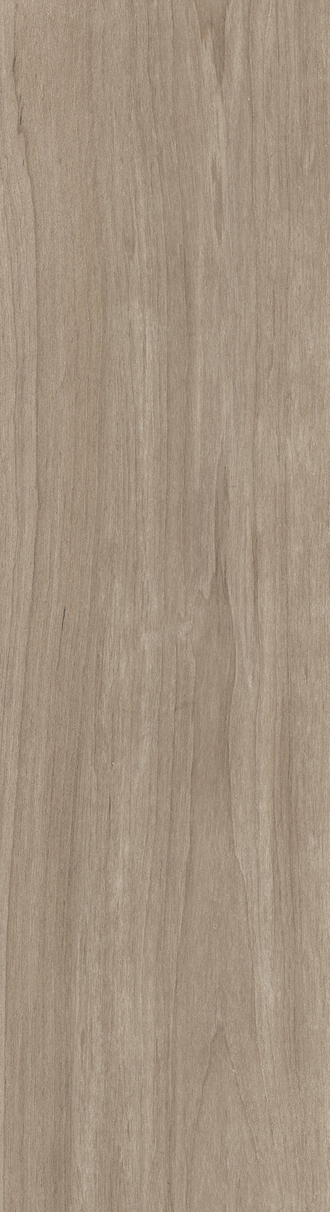 Πλακάκι Bosco Otono 24x88 cm